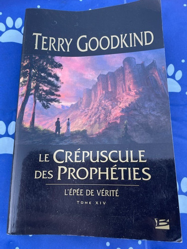 Terry goodkind epee de - goodkind, l'epee