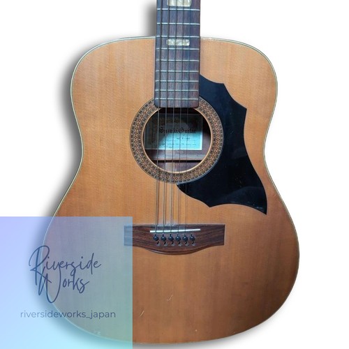Guitare acoustique suzuki - guitare,