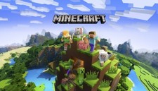 MINECRAFT: JAVA & BEDROCK