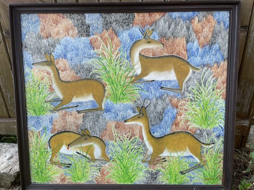 Pili antilopes - pili,