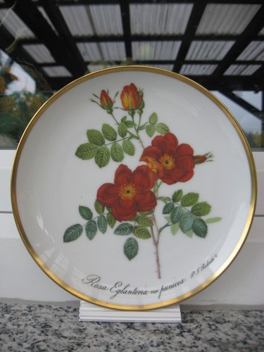 Assiette collection - assiette, de