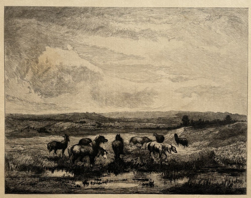 Chevaux gravure eau forte - chevaux,
