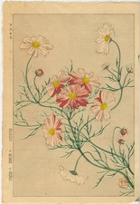 UW»Estampe japonaise