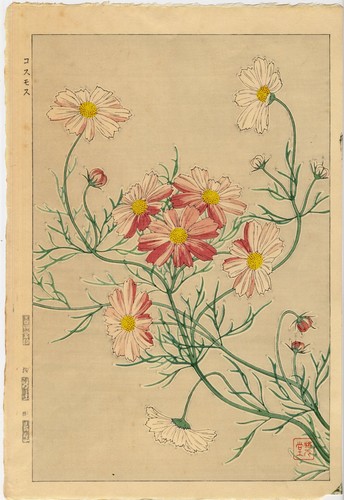 UW»Estampe japonaise