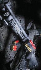 TOILE TABLEAUX  ARME A FEU