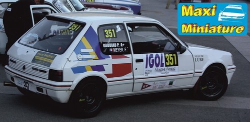 Décals 43e peugeot - peugeot, 205