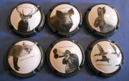 Lot capsules champagne - lot, 6