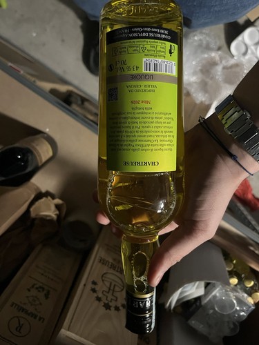 Chartreuse jaune vellier 2026 - chartreuse,