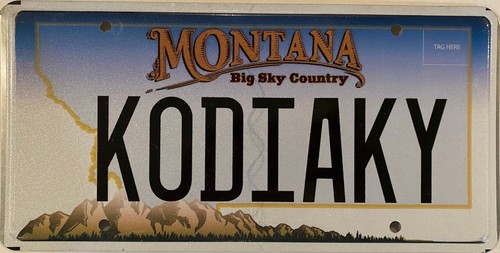 Vanity kodiak yamaha - vanity, y