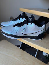 NIKE LEBRON XXI taille 52.5 /