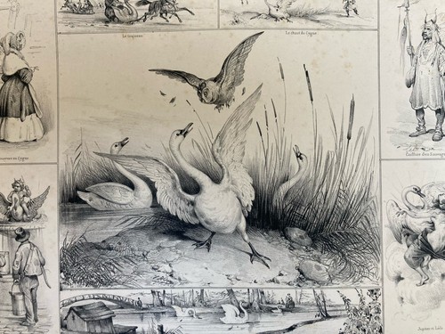 Belle lithographie leda cygne - belle,