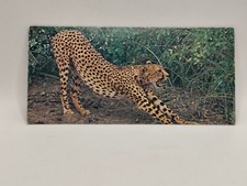 Nestlé MERVEILLES DU MONDE