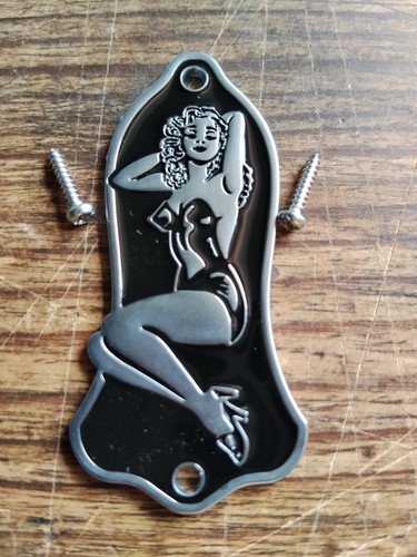Pin truss rod cover - ,