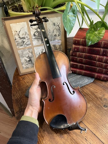 Violon étude instrument - violon, d’étude