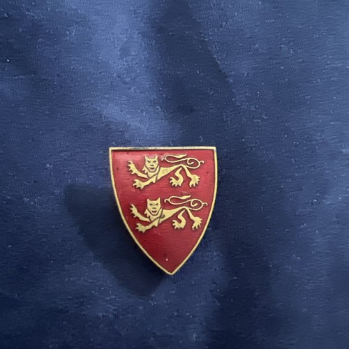 Broche émaillée paquebot - broche,