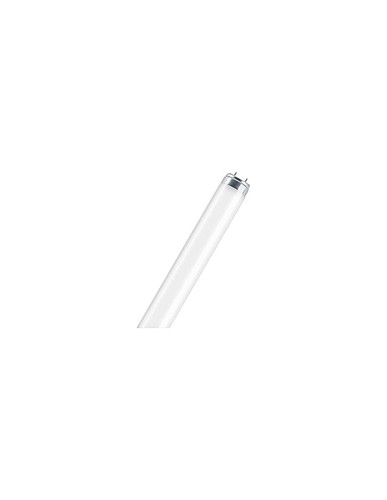Tube led radium - t8, 4000k