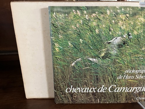 Chevaux camargue - chevaux,