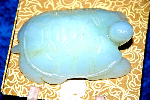 Magnifique tortue jade - tortue, massif