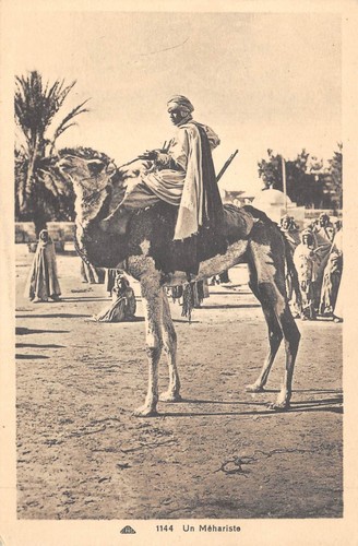 Cpa algerie un - /,