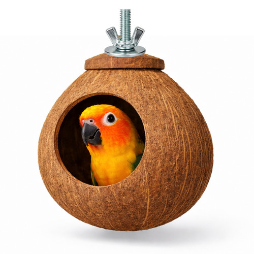 Nid coco naturel - coco,