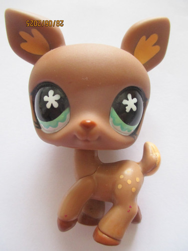 Petshop biche 670 avec - /,