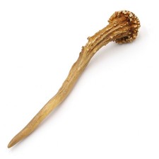 Bois de Cerf Longueur 17 CM