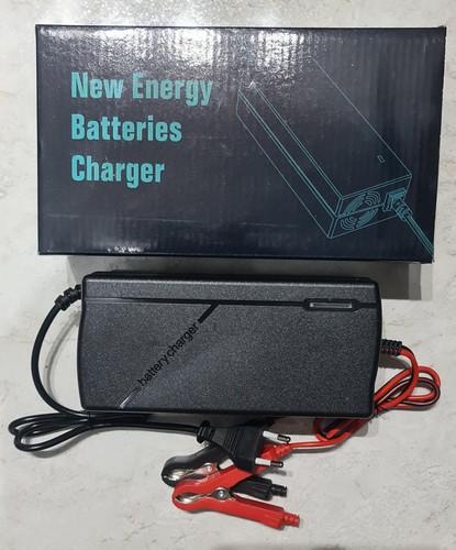 Chargeur 10a pour - chargeur,