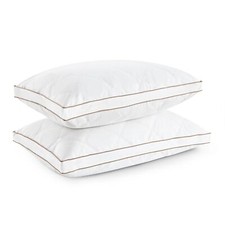 Oreillers en Plumes d'oie 46x66x5cm Set de 2 Oreillers de lit Oreiller de Plu...