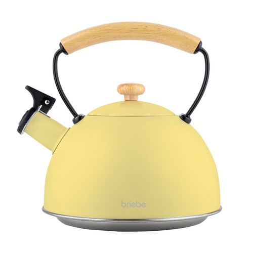 Bouilloire induction - bouilloire,