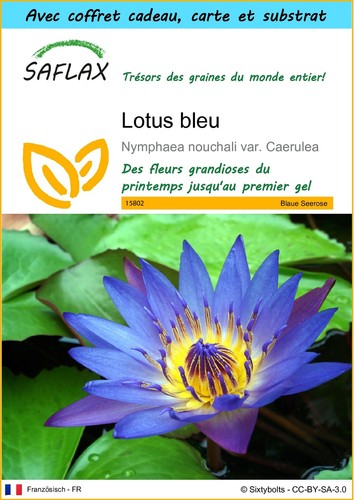 Saflax set cadeau - set, lotus
