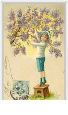 ENFANTS.GARCONNET SUR UN TABOURET CUEILLANT DES FLEURS VIOLETTES DANS UN ARBRE