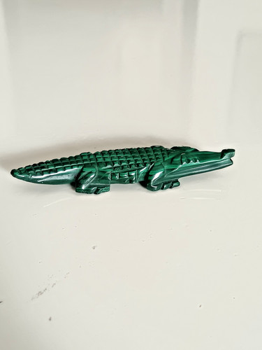 Crocodile malachite - crocodile,