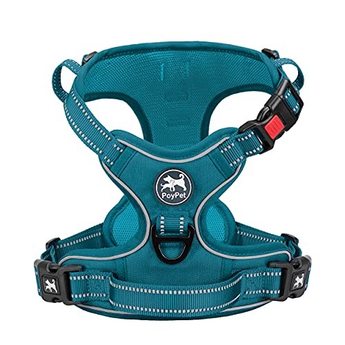 Poypet harnais pour chien - poypet,