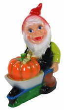 Nain de Jardin Déco Figurine