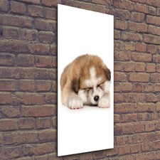 Tulup Tableau Sur Verre Trempé Image 50x125 - Chiot Akita