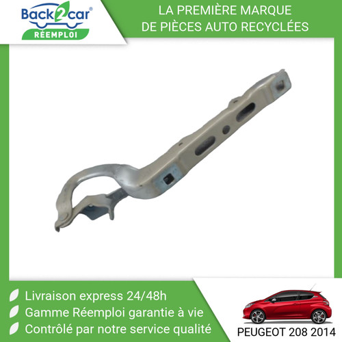 Compas gauche capot - 🏆,