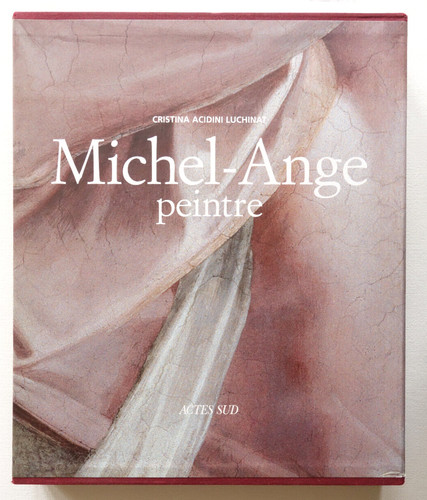 Michel ange peintre cristina - peintre,