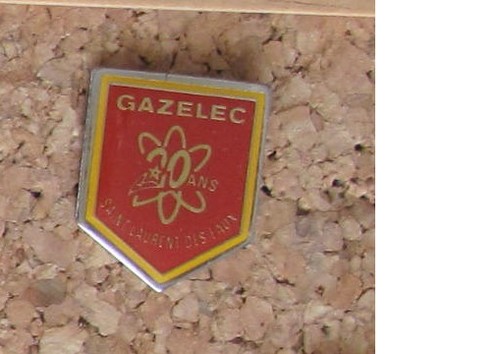 Pin edf cnpe - saint, laurent