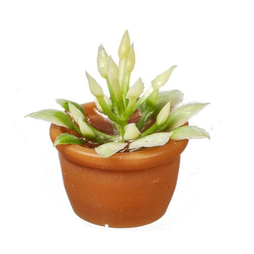Pot fleurs terre - fleurs, cuite