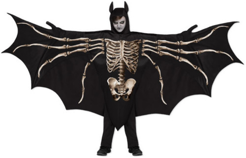 Wicked aile chauve - aile, chauve-souris