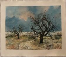 Les arbres - Michel Ciry - Lithographie signée numérotée
