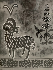 PHOTOGRAPHIE PROVENANT DES