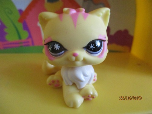 Petshop chat persan 878 - chat, #878