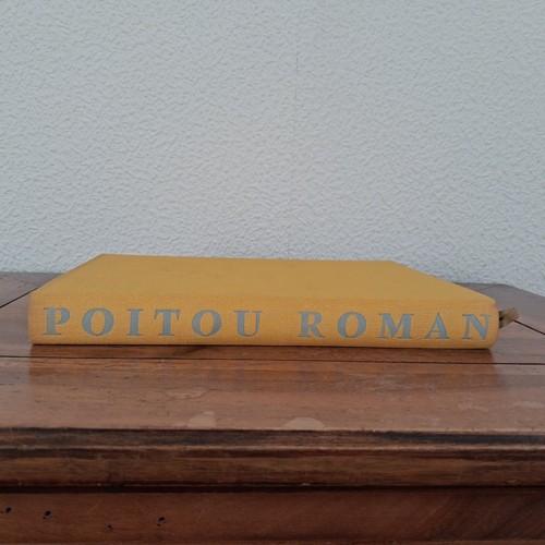 Poitou roman nuit des - roman,