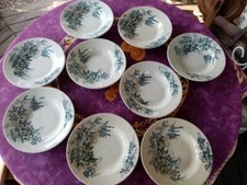 9 Assiettes Creuses Terre de