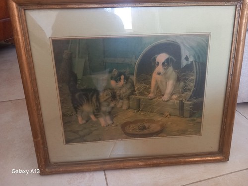 Chromolithographie aux chats - aux,