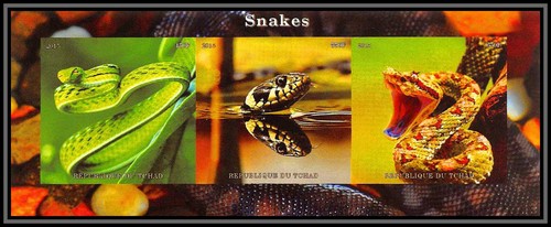 2116 tchad serpent - tchad,