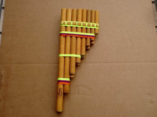 Semilla professional bolivia - semilla,
