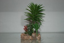 Vivarium Désert Plante Avec
