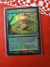 Pont de fangemousse - Mosswort Bridge - FOIL - Magic mtg - NM FR * 1